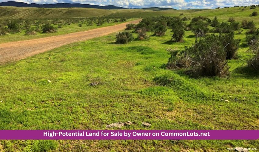 land for sale by owner