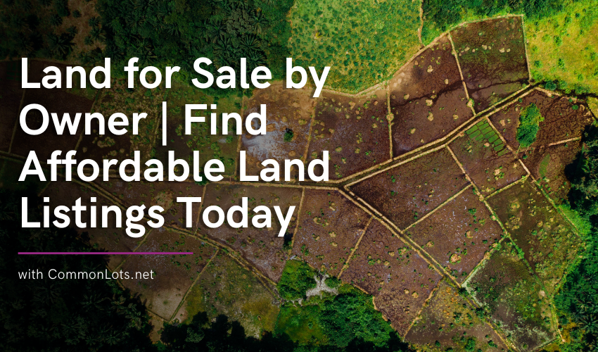 Contemporary Two Story For Lease 1