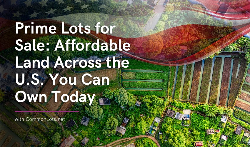 Contemporary Two Story For Lease 2