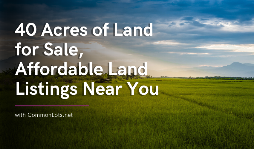 Contemporary Two Story For Lease 4