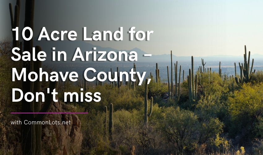 Contemporary Two Story For Lease 5