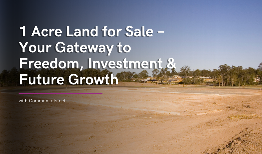 Contemporary Two Story For Lease 8