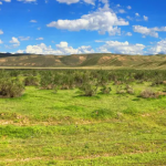 Screenshot 2025 05 13 152506