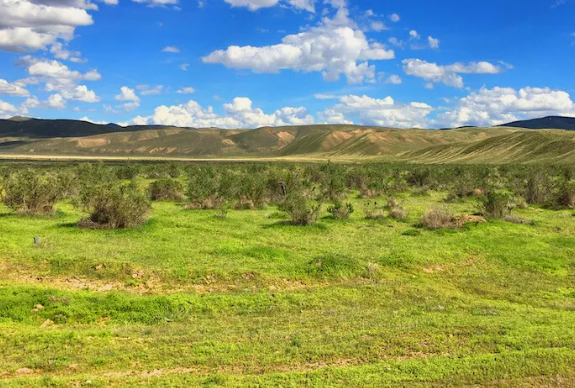 Screenshot 2025 05 13 152506