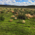 Screenshot 2025 05 13 152703