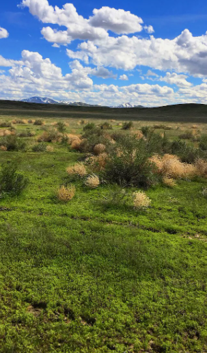 Screenshot 2025 05 13 152703