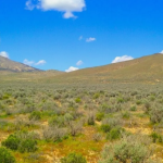 Screenshot 2025 05 13 152723