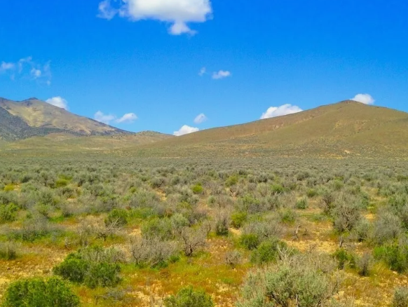 Screenshot 2025 05 13 152723