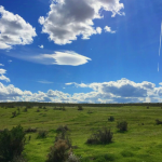 Screenshot 2025 05 13 152744