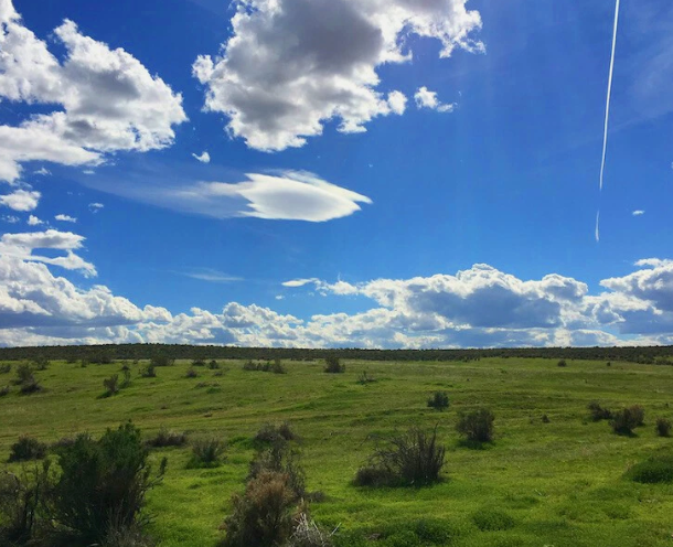 Screenshot 2025 05 13 152744