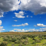 Screenshot 2025 05 13 152820