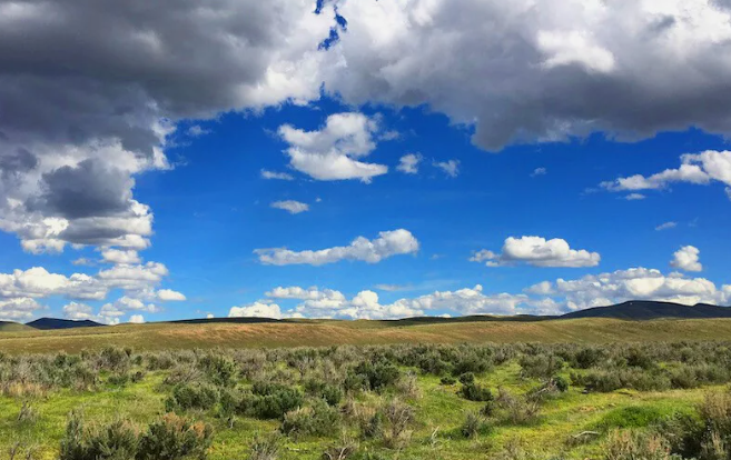 Screenshot 2025 05 13 152820