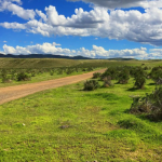 Screenshot 2025 05 13 152857