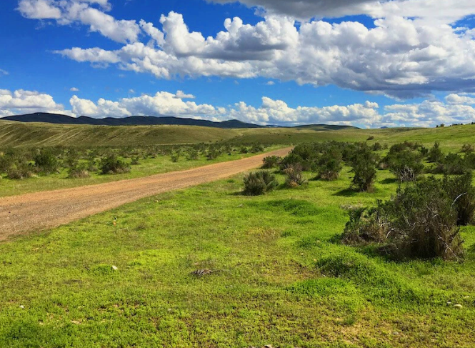 Screenshot 2025 05 13 152857