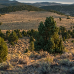 Screenshot 2025 05 14 193325