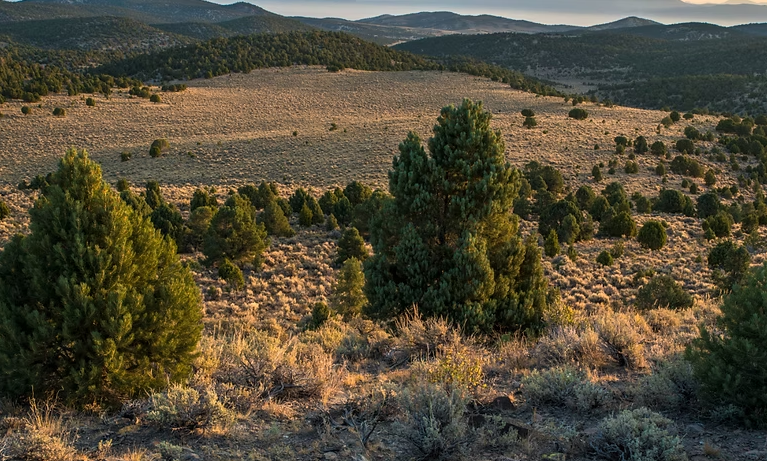 Screenshot 2025 05 14 193325