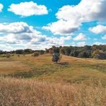 Grassland Woods Photos courtesy of the Trust for Public Land 3