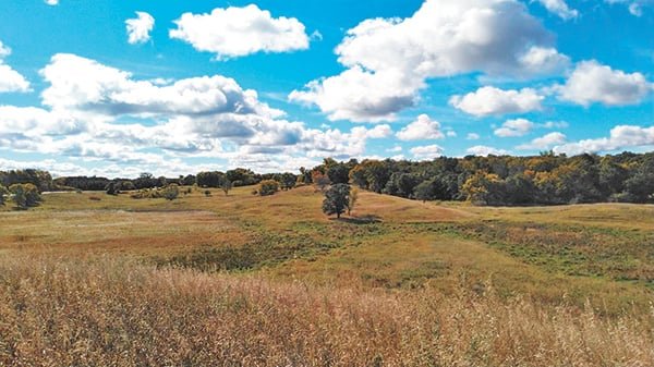 Grassland Woods Photos courtesy of the Trust for Public Land 3