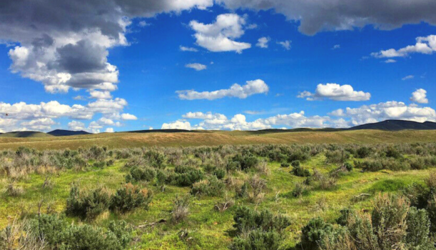 Screenshot 2025 06 04 154457 1