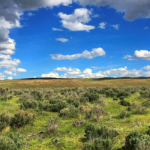 Screenshot 2025 06 04 154457 2