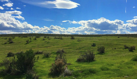 Screenshot 2025 06 04 160120