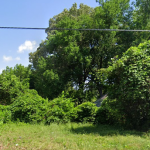 Screenshot 2025 07 12 124133