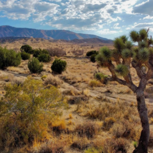 2.5 Acres* San Bernadino CA-Needles California * Bring your RV or Camper*  Great Views * APN: 0651271370000