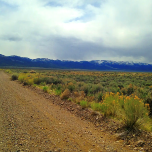 40.84 Acres * Lovelock Nevada * $695.00 Deposit * $26,995.00 Sale Price * $379.00 a month APN: 015-310-10