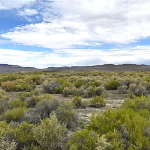 LOCATION-LOCATION-LOCATION!  Lovelock NV! * Right off of I-80 * 80 Acres  003-521-05/06 * Sale Price $98,995.00 * $795.00 Deposit * $899 a month &  No Prepayment Penalty * No Credit Check!