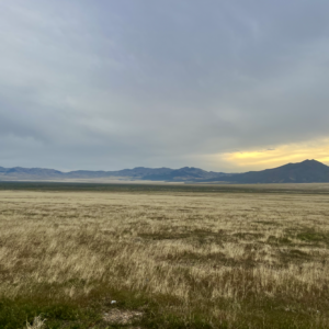 20 Acres * Incredible Scenery *  (Mill City) * Great Access * Power * $23,995.00 Sale Price $495.00 Deposit * $299.00 a Month* APN : 008-530-25