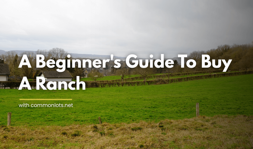 Buy A Ranch