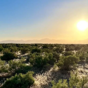 Get Back to Gold Mining!  Buena Vista Valley 20-Acres! Pershing Co. Nevada (Right Next to BLM) - 011-210-06  $22,995.00 Sale Price * $595.00 Deposit * $315.00 a month