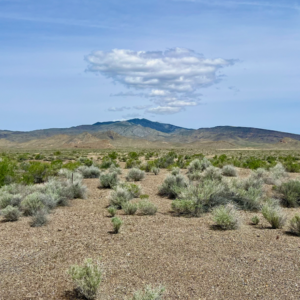 Welcome Back to Gold Mining!!! 40.02 Acres at Buffalo Mountain Foothills - Pershing Co. NV - 015-640-07 * $28,995.00 Sale Price & $595.00 Deposit * $349.00 a month * Mineral Rights & Warranty Deed