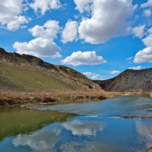 ONE OF KIND! ***80 Acres in Pershing Nevada * Year-Round Creek * Direct Road Access Excellent * BLM Adjacent * $98,995.00 Sale Price * $2,595.00 Deposit * $899.00 a month * APN: 011-140-15 * Warranty Deed