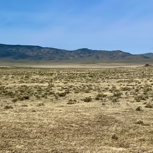 40.09 Acres in Buena Vista Valley Nevada* Legal Access Easements & Nearby BLM Ground* $23,995.00 Sale Price * $595.00 Deposit * $299.00 a month *APN: 015-181-09