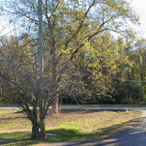 Corner Lot* Carlisle Arkansas* Utilities & Road Frontage * Large Lot 12,500 Sq Ft * Great Building Property or Investment!