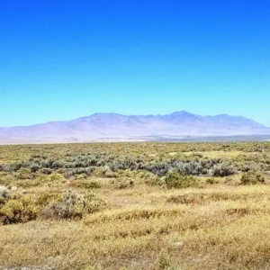 Winnemucca NV * 80.53 Acres * Surveyed * Humboldt County * Boarder BLM Land * Valley Views & $59,995.00 Sale Price * $895.00 Deposit * $599.00 a month * Mineral Rights & Warranty Deed! APN # 05-0228-15