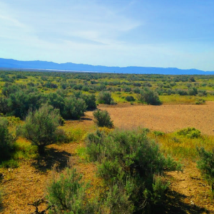NATURAL HOT SPRINGS -KYLE HOT SPRINGS RANCH @ EAST RANGE -MINERAL RIGHTS &  LEGAL EASEMENTS & MAJESTIC VIEWS! *28,995.00 * $695.00 Deposit * $299.00 a month- Warranty Deed!