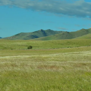 287 Acres in Lovelock Nevada * BLM Surrounding* Legal Easement Road Access* Mineral Rights * Amazing Views* 7 Individual APN/Parcels * $156,995.00 Sale Price * $2,750.00 Deposit & $899.00 a month *015-240-03