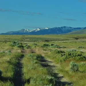 Winnemucca NV * 80.53 Acres * Surveyed * Humboldt County * Boarder BLM Land * Valley Views & $56,995.00 Sale Price * $895.00 Deposit * $499.00 a month * Mineral Rights & Warranty Deed! APN # 05-0228-15