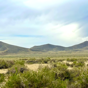 Get back to Gold Mining* 40 Acres in Humboldt County NV * Winnemucca* Power is close* Great Road Access * Views of the Jackson Mountains! $25,995.00 Sale Price * $695.00 Deposit * $325.00 per month *APN 05-0671-3