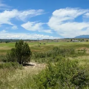 VIEWS ****Colorado Residential Lot-Right off the Golf Course in Colorado City* 11,500 Sq Ft * Power, Water and Road Frontage* $13,995.00 Sale Price *$495.00 Deposit  * $325.00 a month APN 7-242-04-005