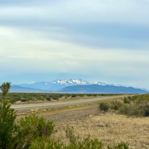 Get back to Gold Mining* 40 Acres in Humboldt County NV * Winnemucca* Power is close* Great Road Access * Views of the Jackson Mountains! $24,995.00 Sale Price * $595.00 Deposit * $325.00 per month *APN 05-0691-06