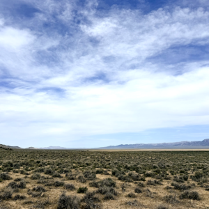 Gold Mining Land Special *640 Acres in Elko Nevada- Independence Valley* *Great Opportunity to Subdivide! * Road Access* $269,000.00 Sale Price * $4,500.00 Deposit  * $1,795.00 a month *APN: 009100005