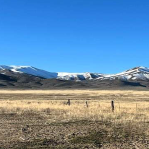 34 Acres- Crescent Valley Eureka County Nevada! * Direct Access & Professionally Surveyed * Bring Your RV & Camp*  & NO HOA $28,995.00 Sale Price $695.00 Deposit * $339.00 a month * APN 005-460-06