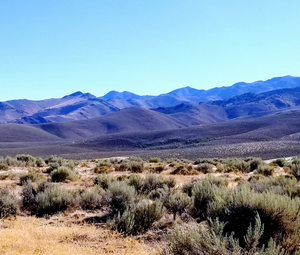 40 Acres *Unionville Nevada* Road Access * Panoramic Mountain Views*  Pershing County * $20,995.00 Sale Price * $695.00 Deposit * $350.00 a month * No Prepayment Penalty * APN: 015-140-01