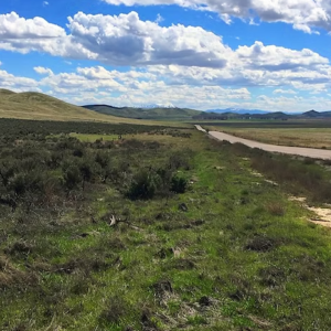 34 Acres- Crescent Valley Eureka County Nevada! * Direct Access & Professionally Surveyed * Bring Your RV & Camp*  & NO HOA $28,995.00 Sale Price $695.00 Deposit * $339.00 a month * APN 005-460-06