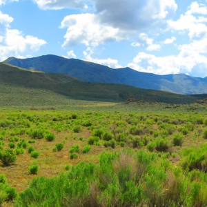 40 Acres with Direct Access & BLM Border – Crescent Valley, NV * Bring Your RV & Camp*  & NO HOA $33,995.00 Sale Price $795.00 Deposit * $399.00 a month * APN 005-400-22