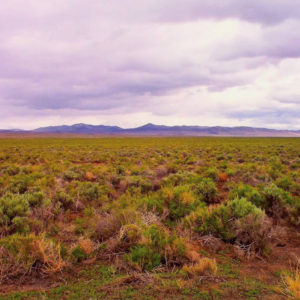 40.13 Acre Ranch- Humboldt Nevada* Winnemucca* Road Access* Mountain Views* Mineral Rights* $26,995.00 Sale Price *$695.00 Deposit * $329.00 a month * APN  :05-0477-07