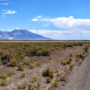 Amazon is coming to town! AMAZING OPPORTUNITY**** 80 Acres* Montello NV /Wells NV & Close to Utah Boarder *  Montello Road Access $69,995.00 Sale Price * $895.00 Deposit * $599.00 a month * APN: 010-351-026